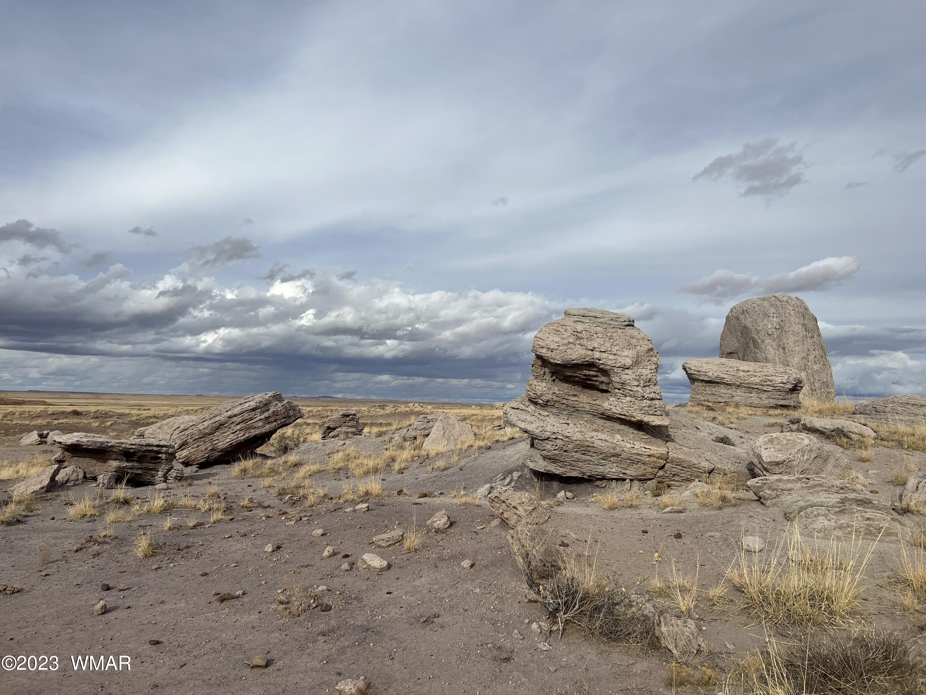 Lot 283 County Road Snowflake, AZ 85937 - Photo 26 of 38