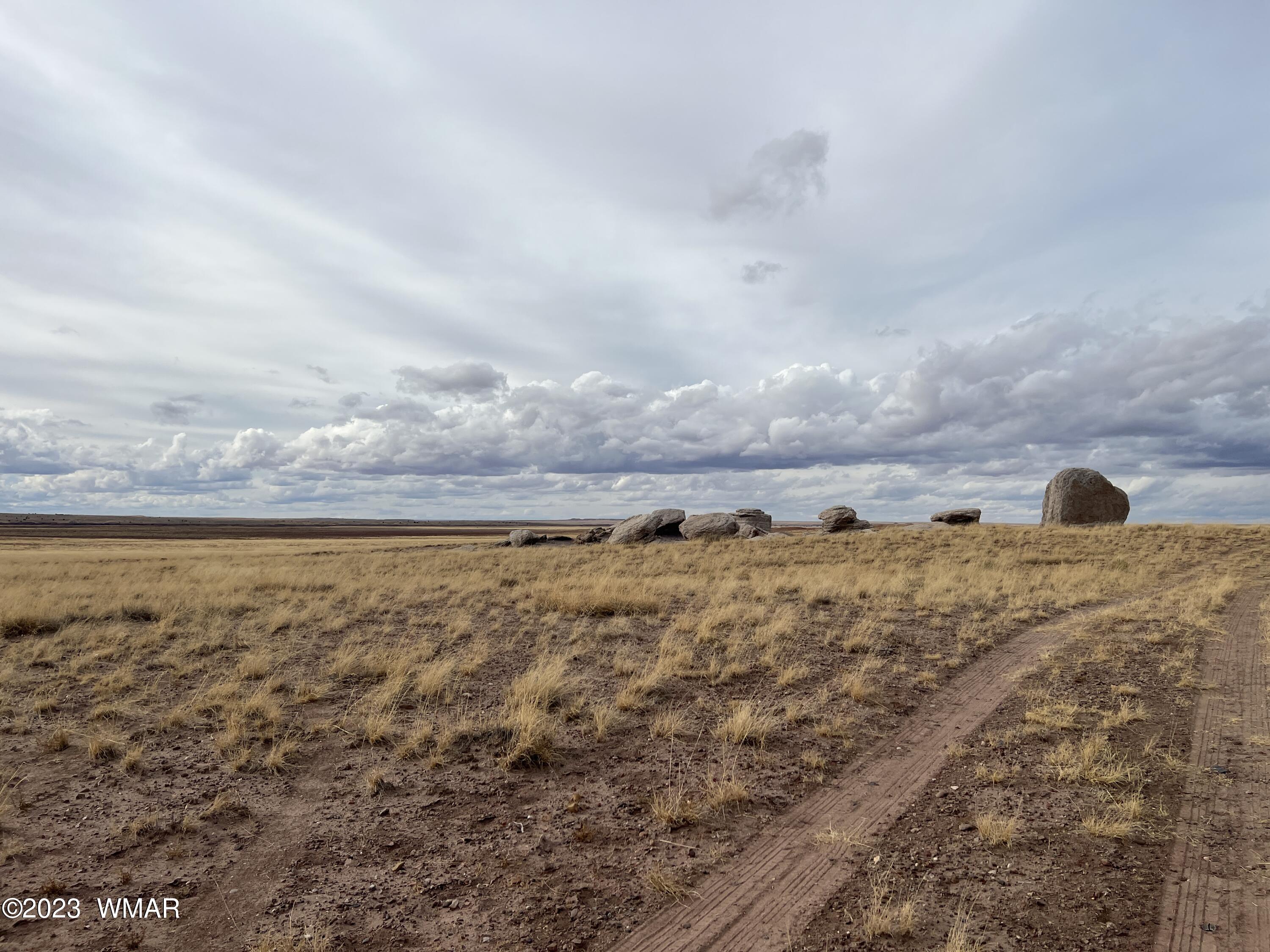 Lot 283 County Road Snowflake, AZ 85937 - Photo 3 of 38
