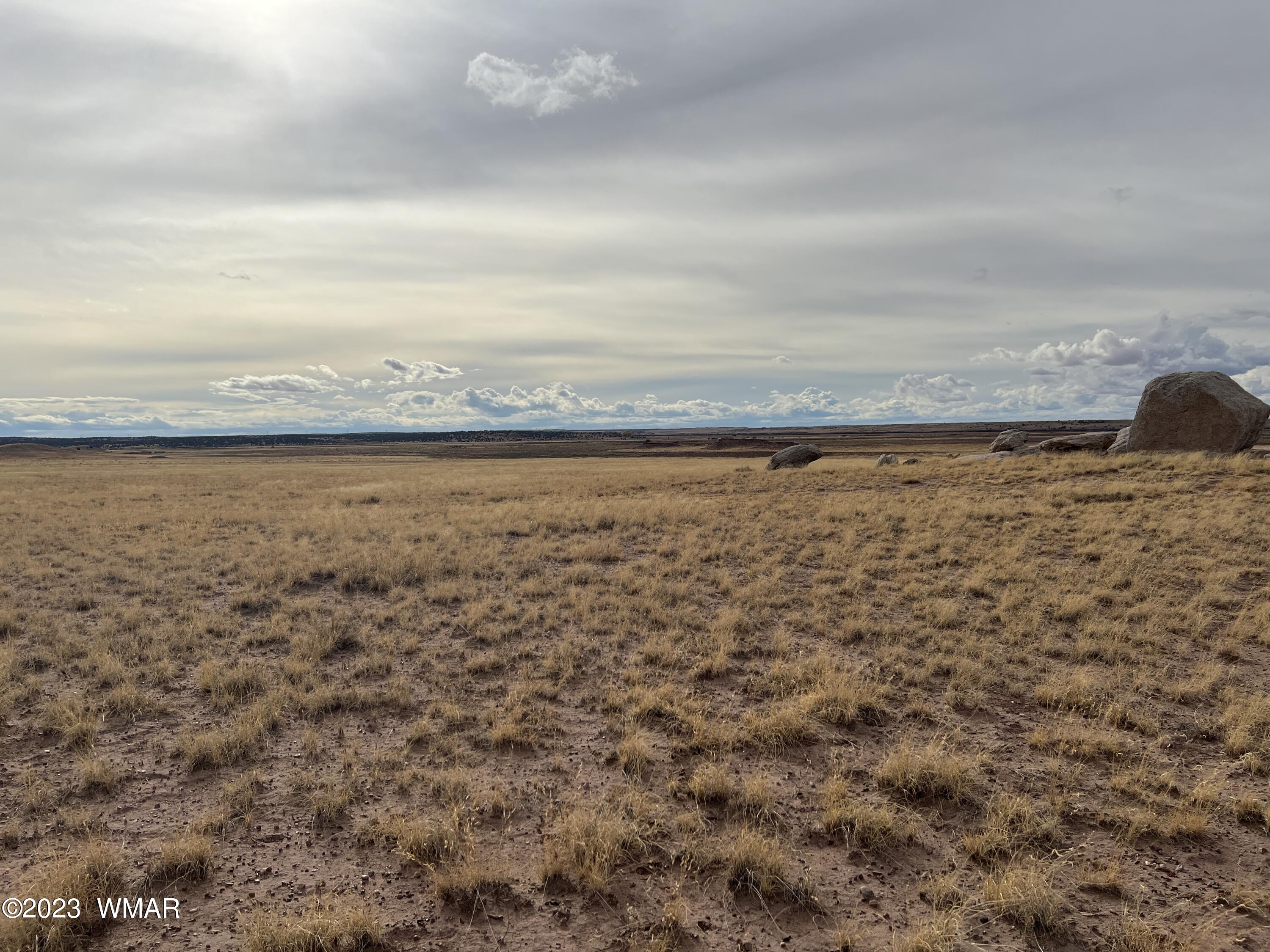 Lot 283 County Road Snowflake, AZ 85937 - Photo 4 of 38