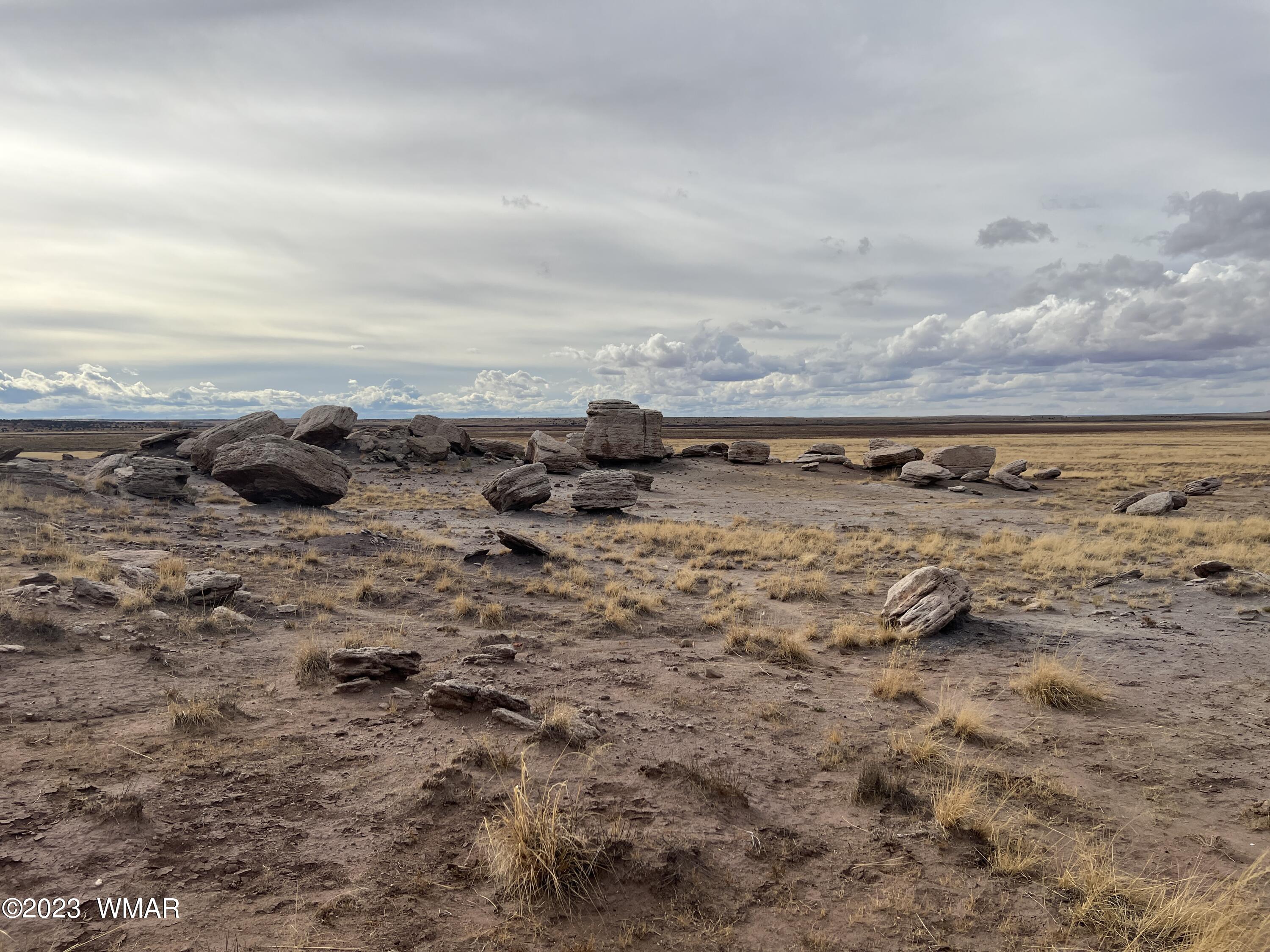 Lot 283 County Road Snowflake, AZ 85937 - Photo 6 of 38
