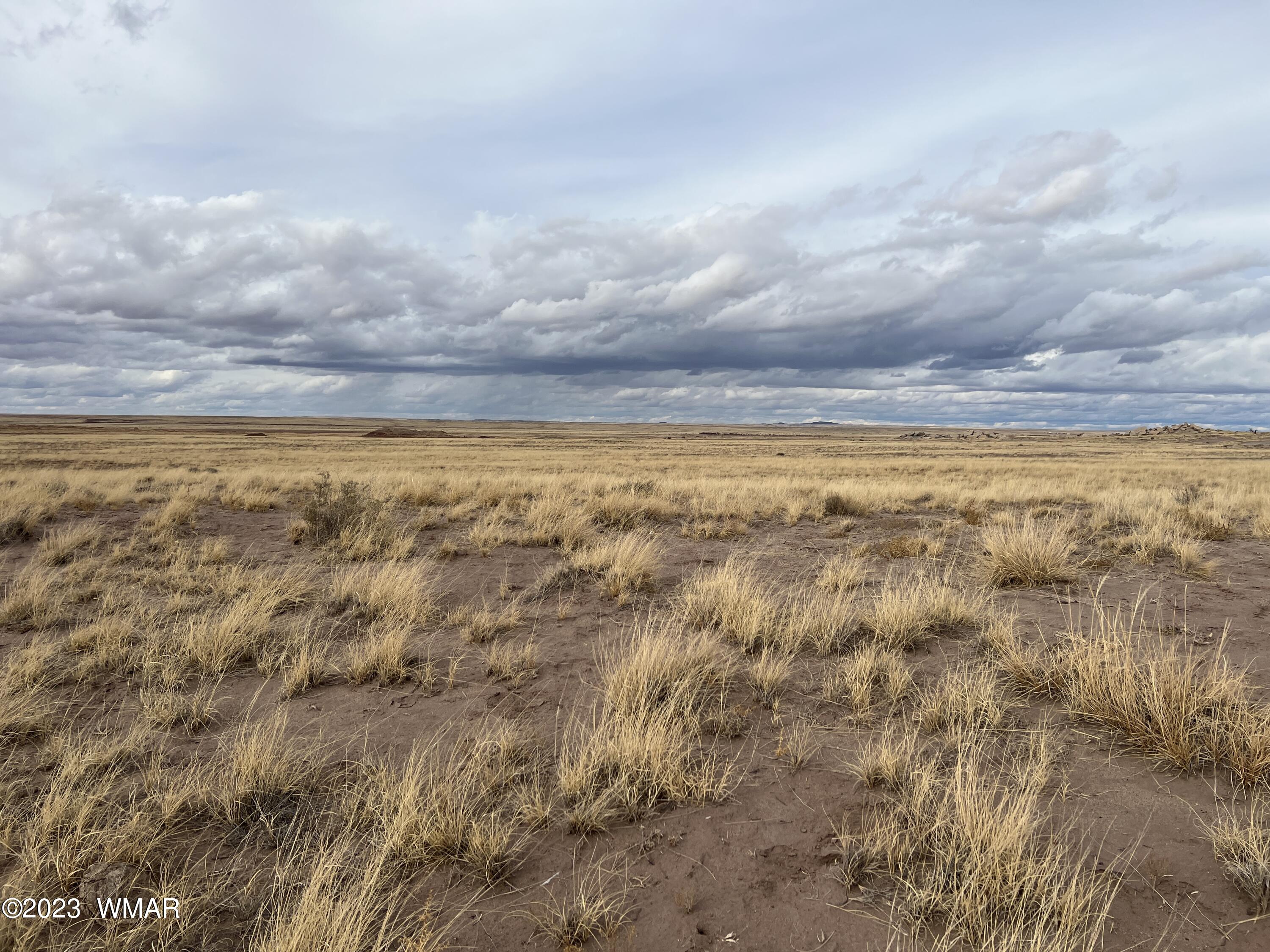 Lot 283 County Road Snowflake, AZ 85937 - Photo 7 of 38