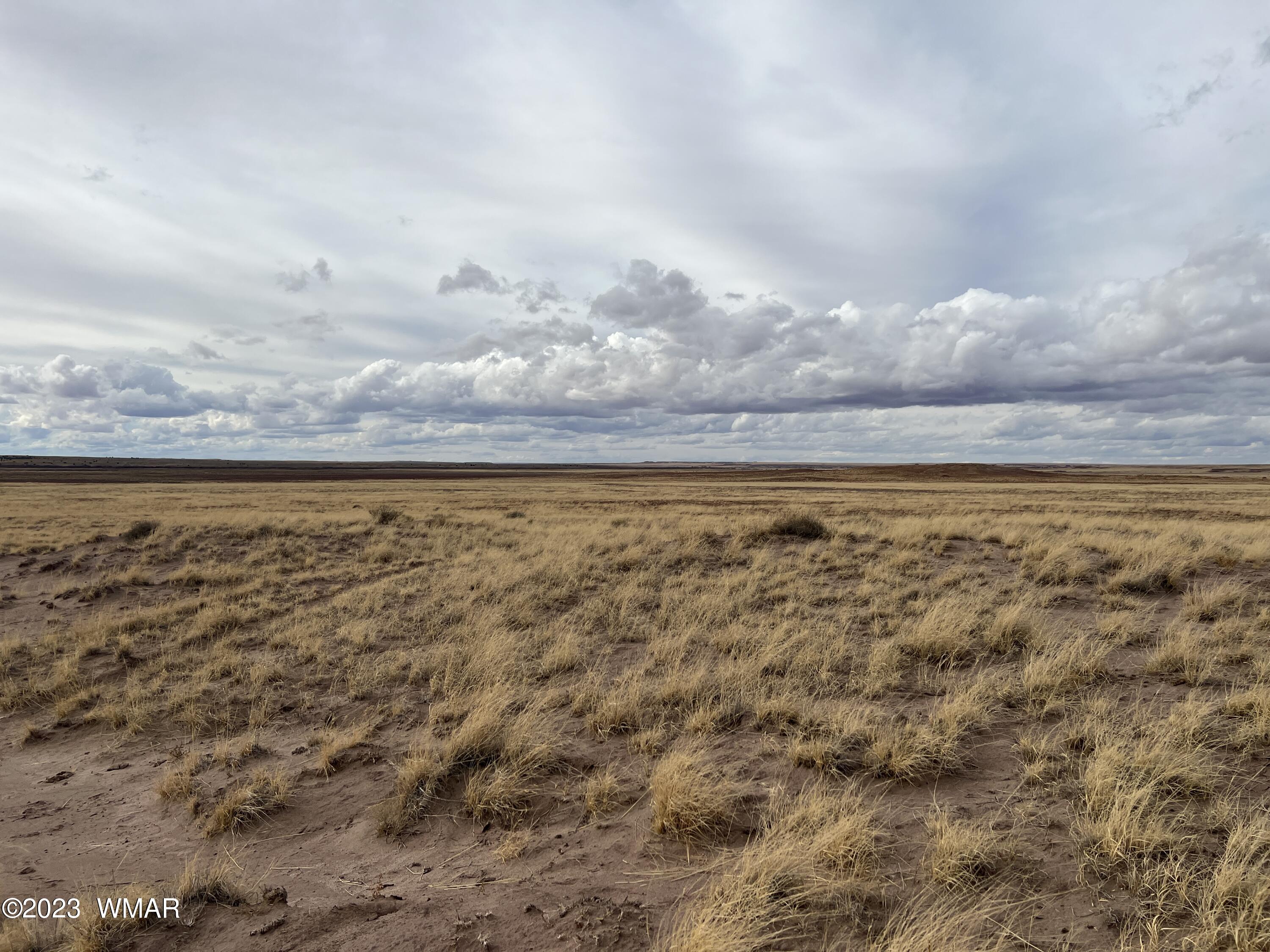 Lot 283 County Road Snowflake, AZ 85937 - Photo 8 of 38