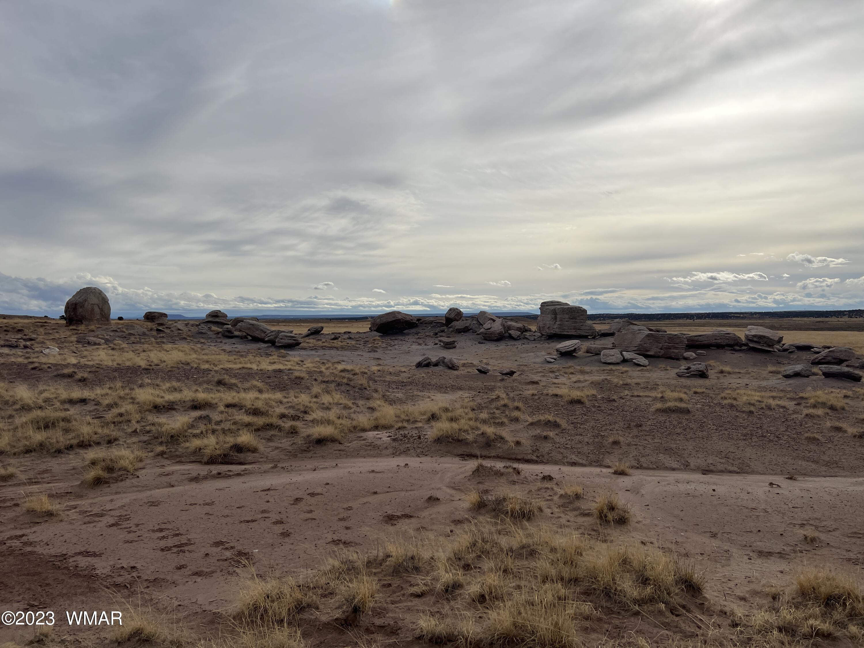 Lot 283 County Road Snowflake, AZ 85937 - Photo 10 of 38