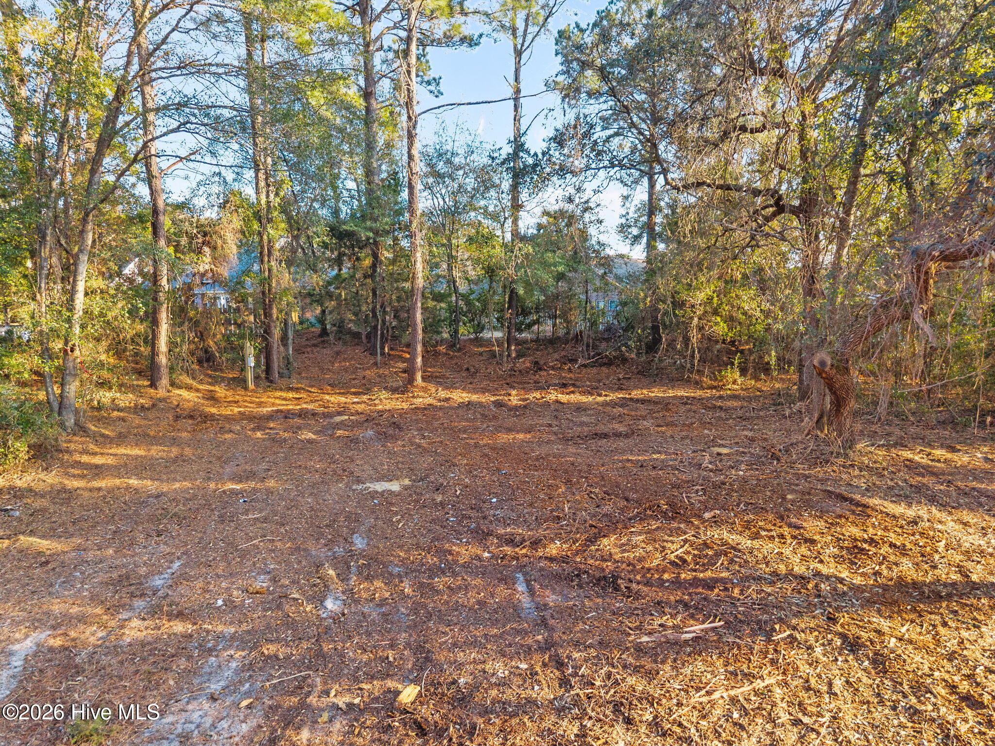 6600 River Road Wilmington, NC 28412 - Photo 6 of 8 13-web-or-mls-DJI_20260206162347_0158_D