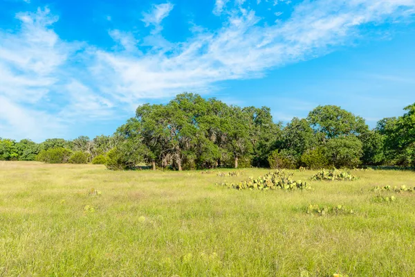 $289,900 | 32 Feild Ranch Road, Burnet, TX 78611