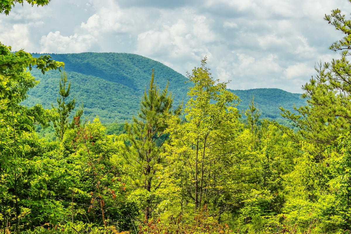 40-acre-southwest-ridge2