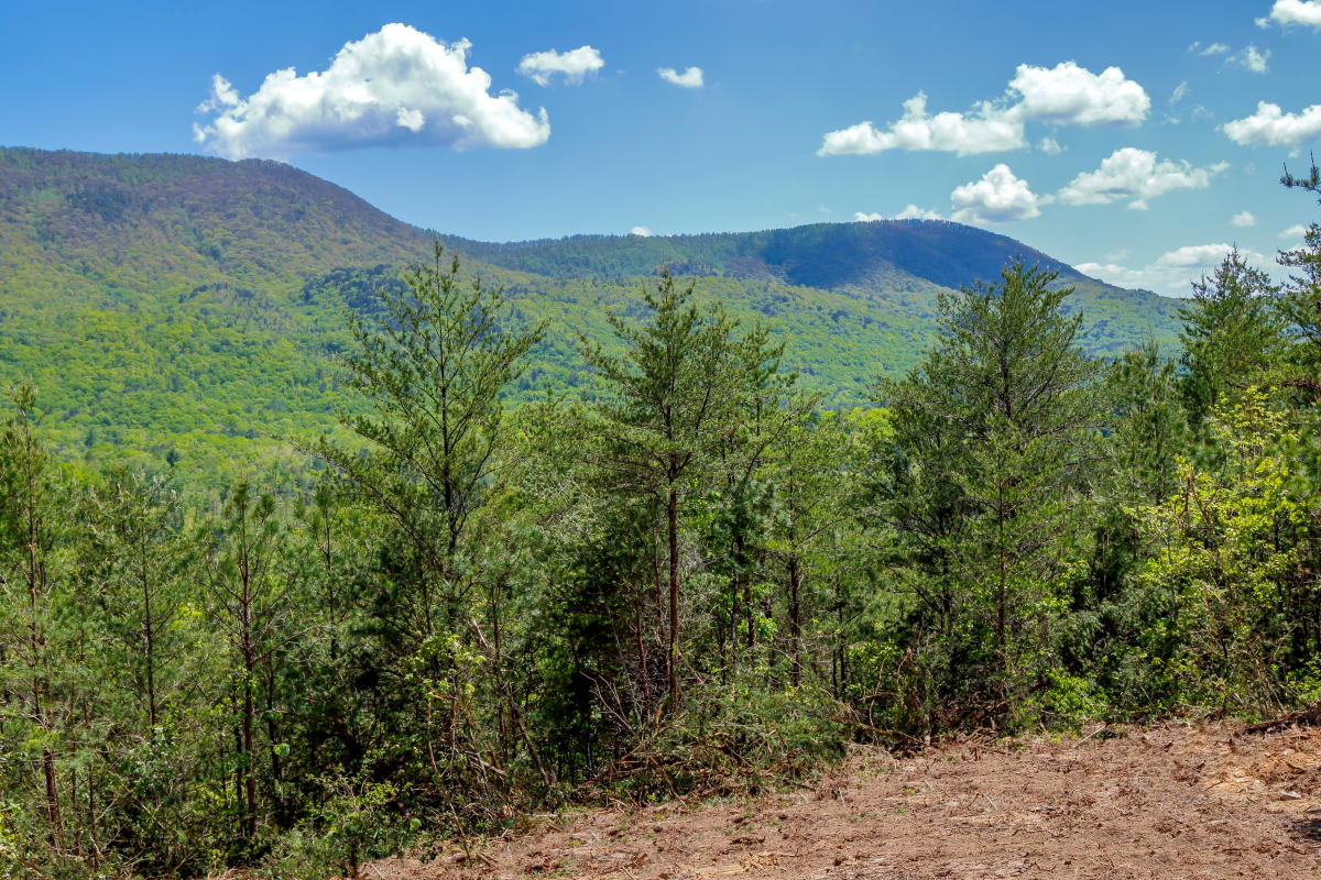 40-acre-southwest-ridge
