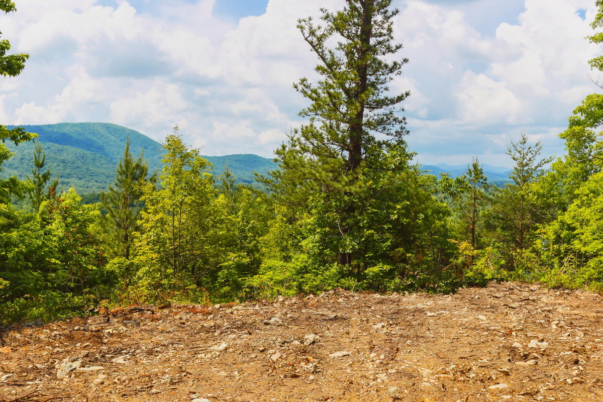 40-acre-southeast-view2