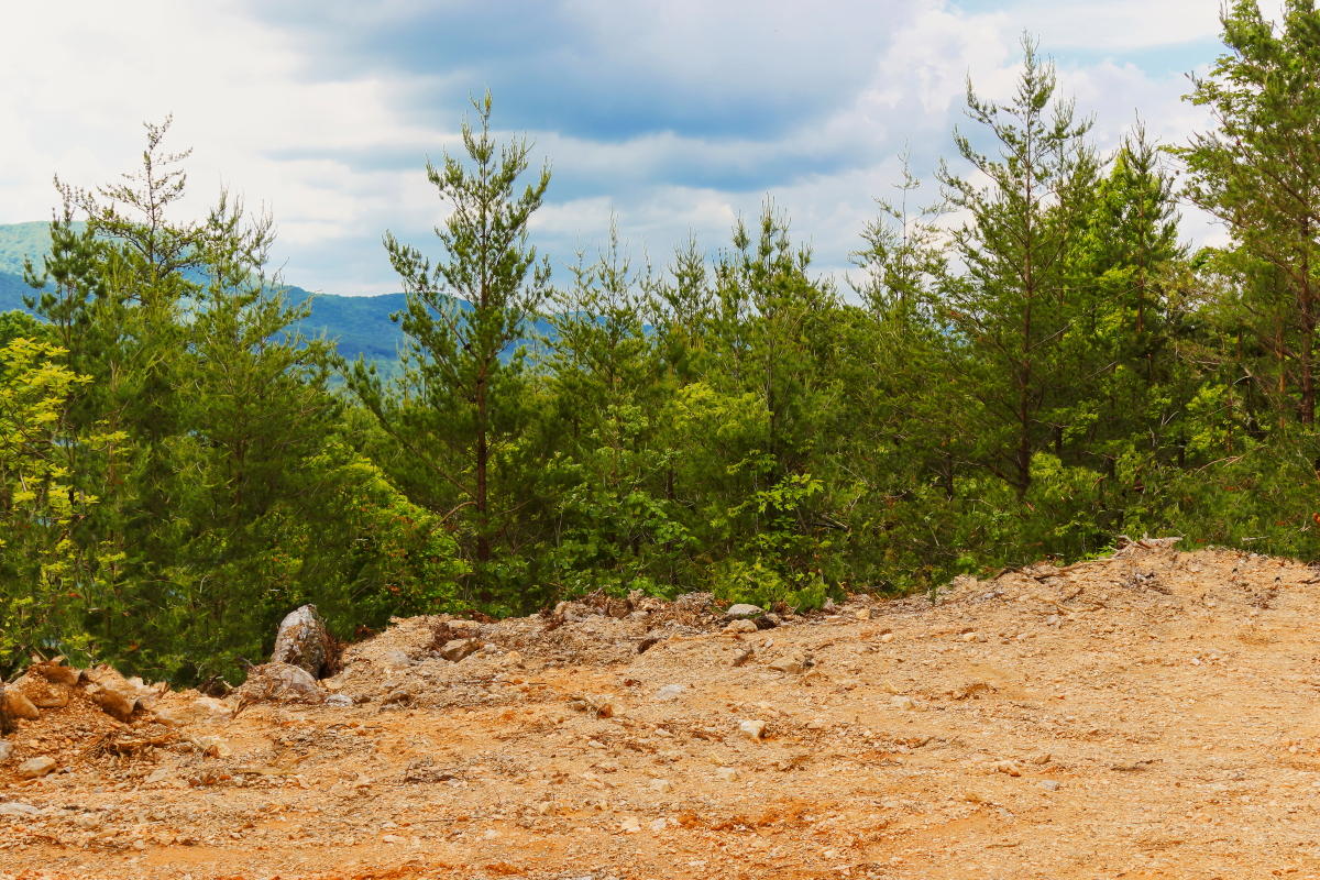 40-acre-northwest-ridge-view