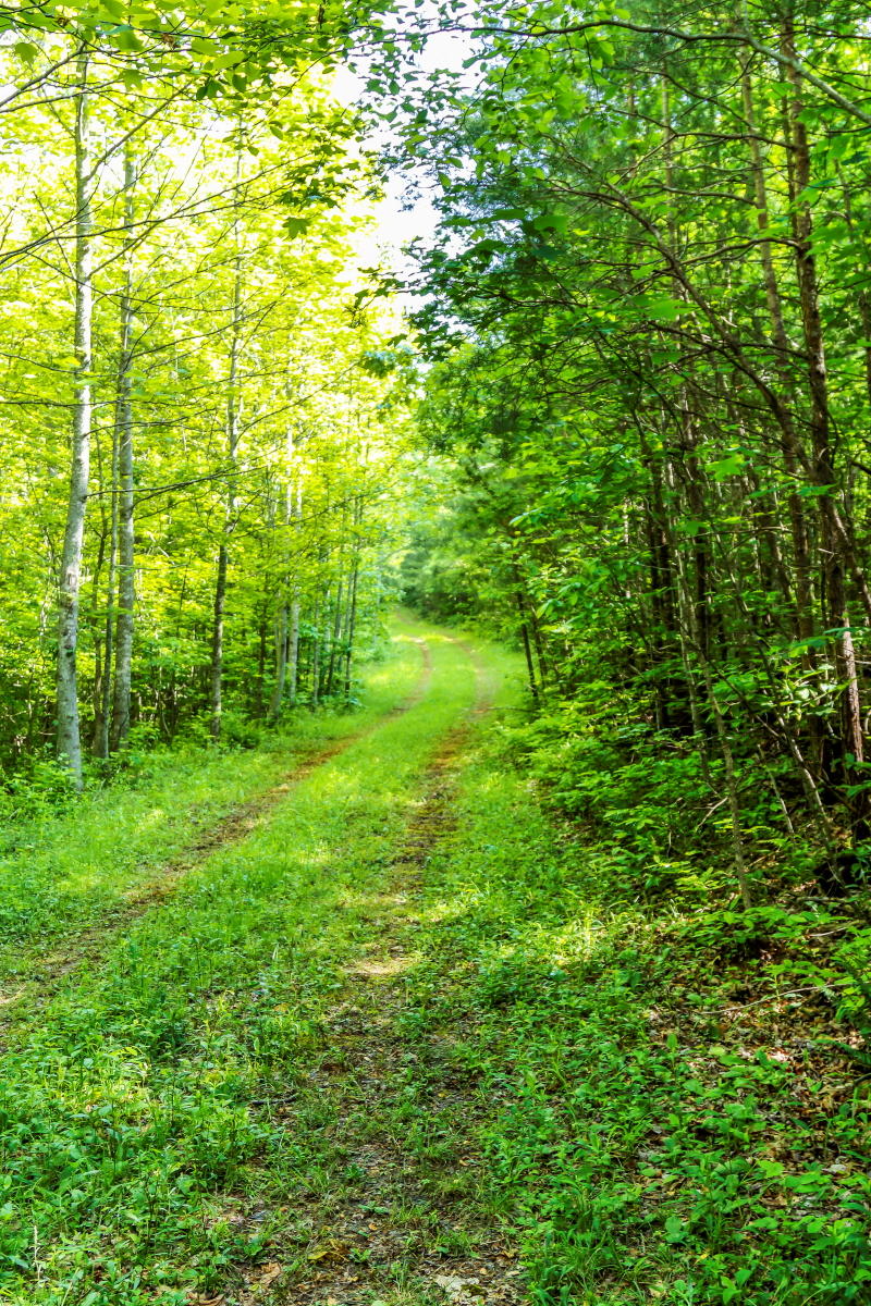 40-acre-entrance-from-smithfield-rd