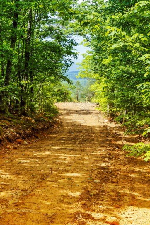 Off Lower Smithfield Road Tellico Plains, TN 37385 - Photo 8 of 9 40-acre-driveway-to-southeast-ridge