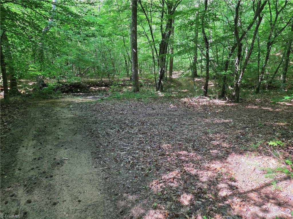 Xx 31.85-ac Xx 31.85-ac Hampton Road Germanton, NC 27019 - Photo 30 of 33