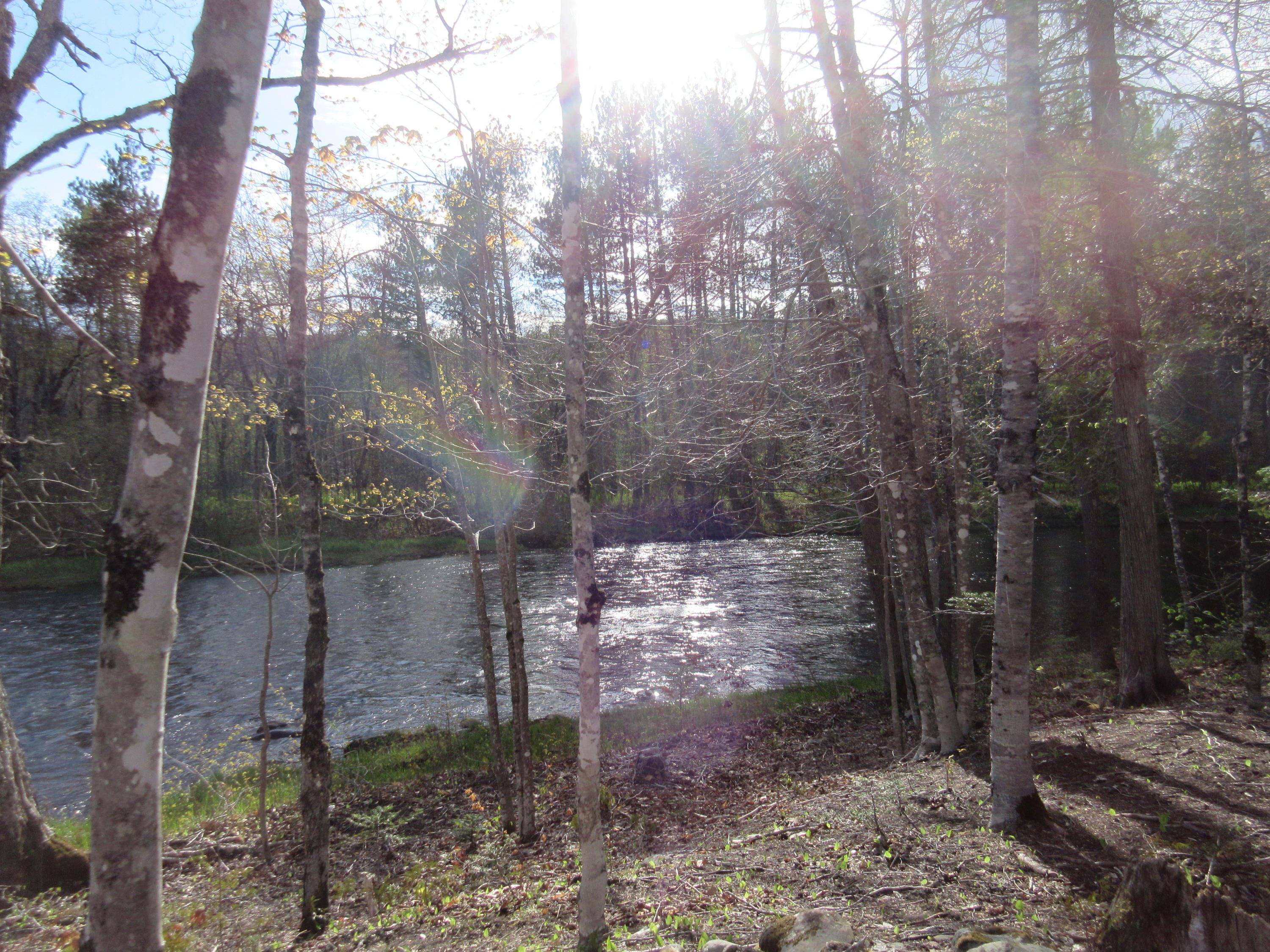 31.31 North Blanchard Shirley Road Abbot, ME 04406 - Photo 12 of 15 IMG_2167