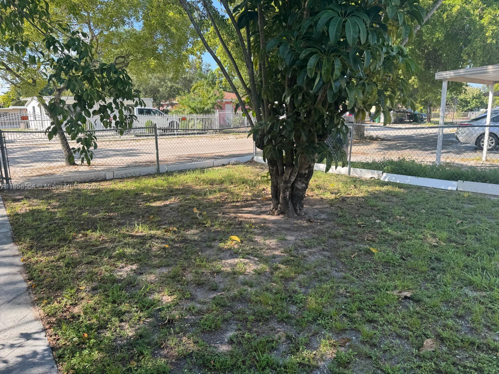2060 Rutland Street Opa-Locka, FL 33054 - Photo 10 of 10 a view of a yard with a tree