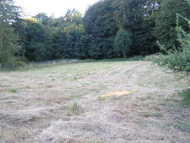 67851 Chimes Crest Road St. Helens, OR 97051 - Photo 2 of 7