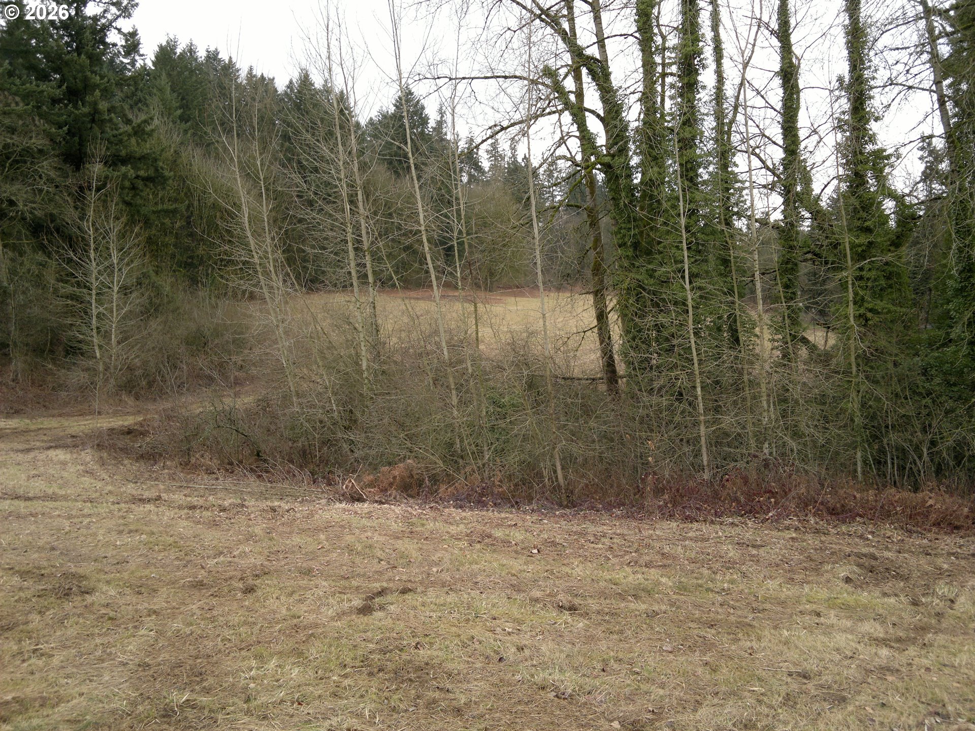 67851 Chimes Crest Road St. Helens, OR 97051 - Photo 7 of 7