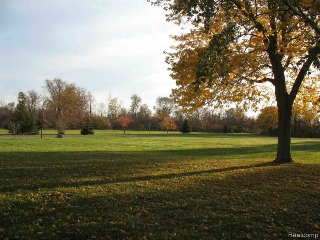 5330 Williams Road Newport, MI 48166 - Photo 40 of 44 5330 Williams Street 049.jpg