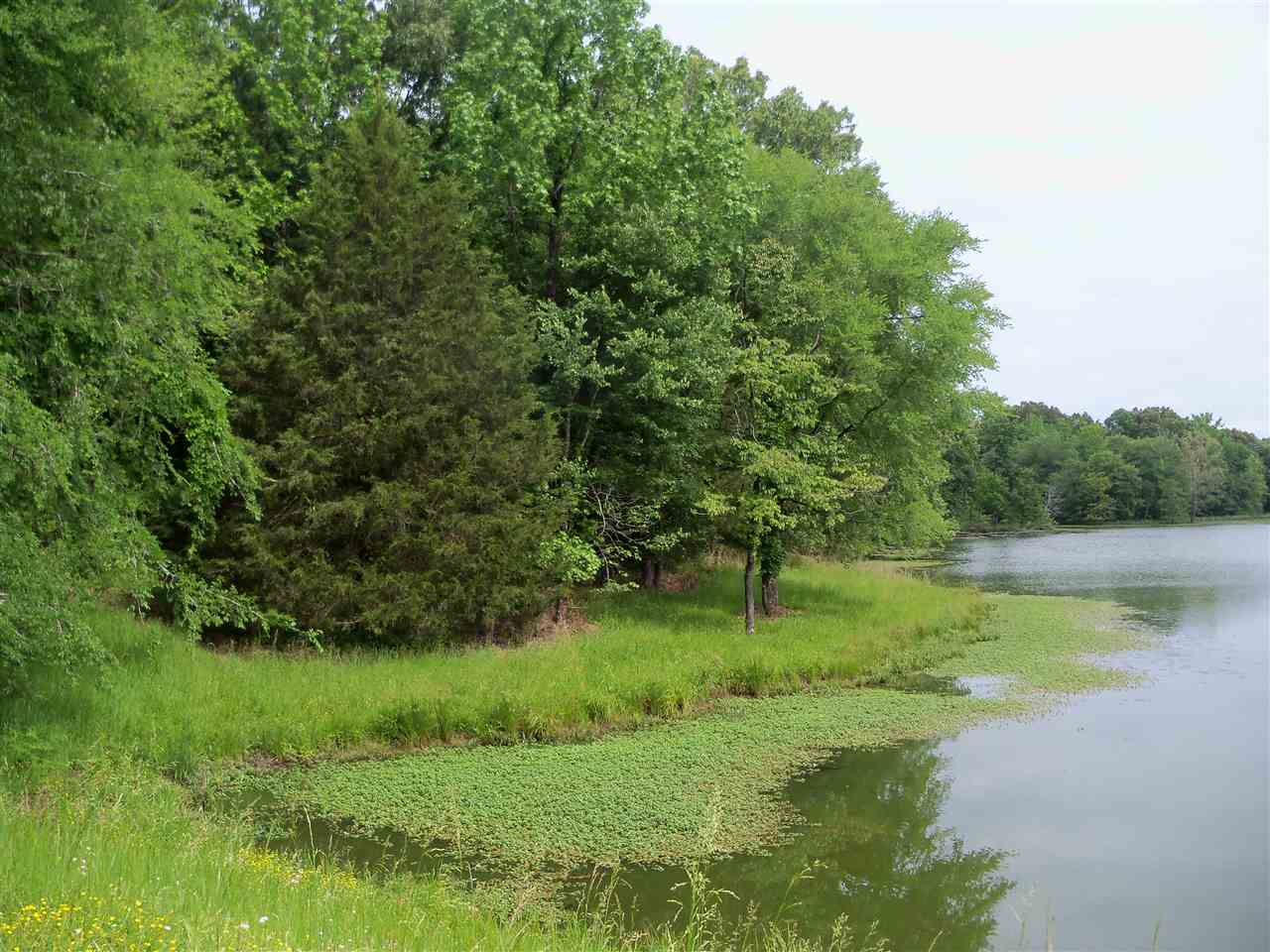 0 Pisgah Road Eads, TN 38028 - Photo 1 of 16 Gallery Image 1