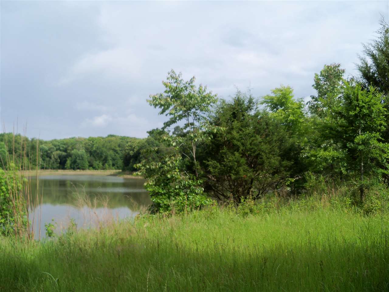 0 Pisgah Road Eads, TN 38028 - Photo 2 of 16 Gallery Image 2