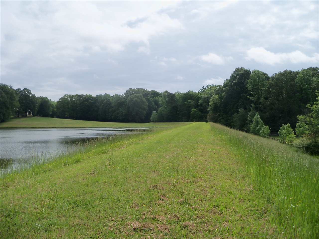 0 Pisgah Road Eads, TN 38028 - Photo 11 of 16 Gallery Image 11