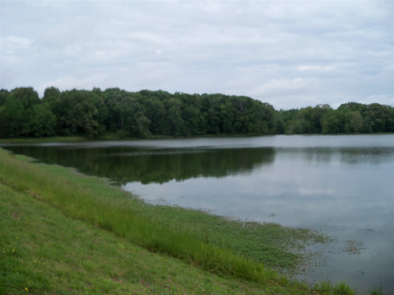 0 Pisgah Road Eads, TN 38028 - Photo 12 of 16 Gallery Image 12