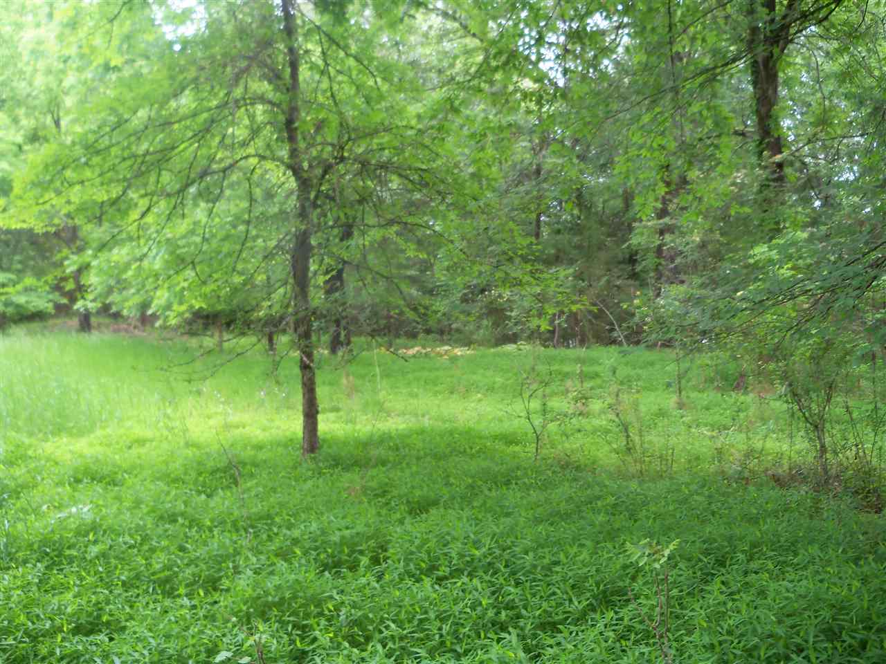 0 Pisgah Road Eads, TN 38028 - Photo 14 of 16 Gallery Image 14