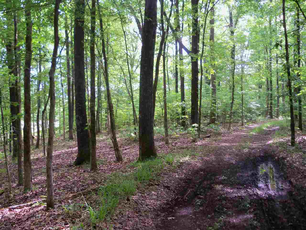 0 Pisgah Road Eads, TN 38028 - Photo 4 of 16 Gallery Image 4