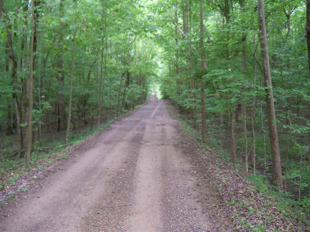 0 Pisgah Road Eads, TN 38028 - Photo 5 of 16 Gallery Image 5