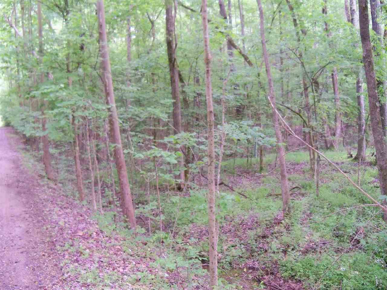 0 Pisgah Road Eads, TN 38028 - Photo 6 of 16 Gallery Image 6