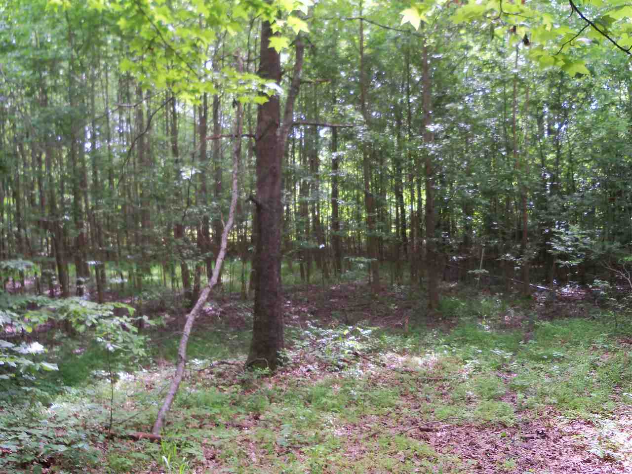 0 Pisgah Road Eads, TN 38028 - Photo 8 of 16 Gallery Image 8