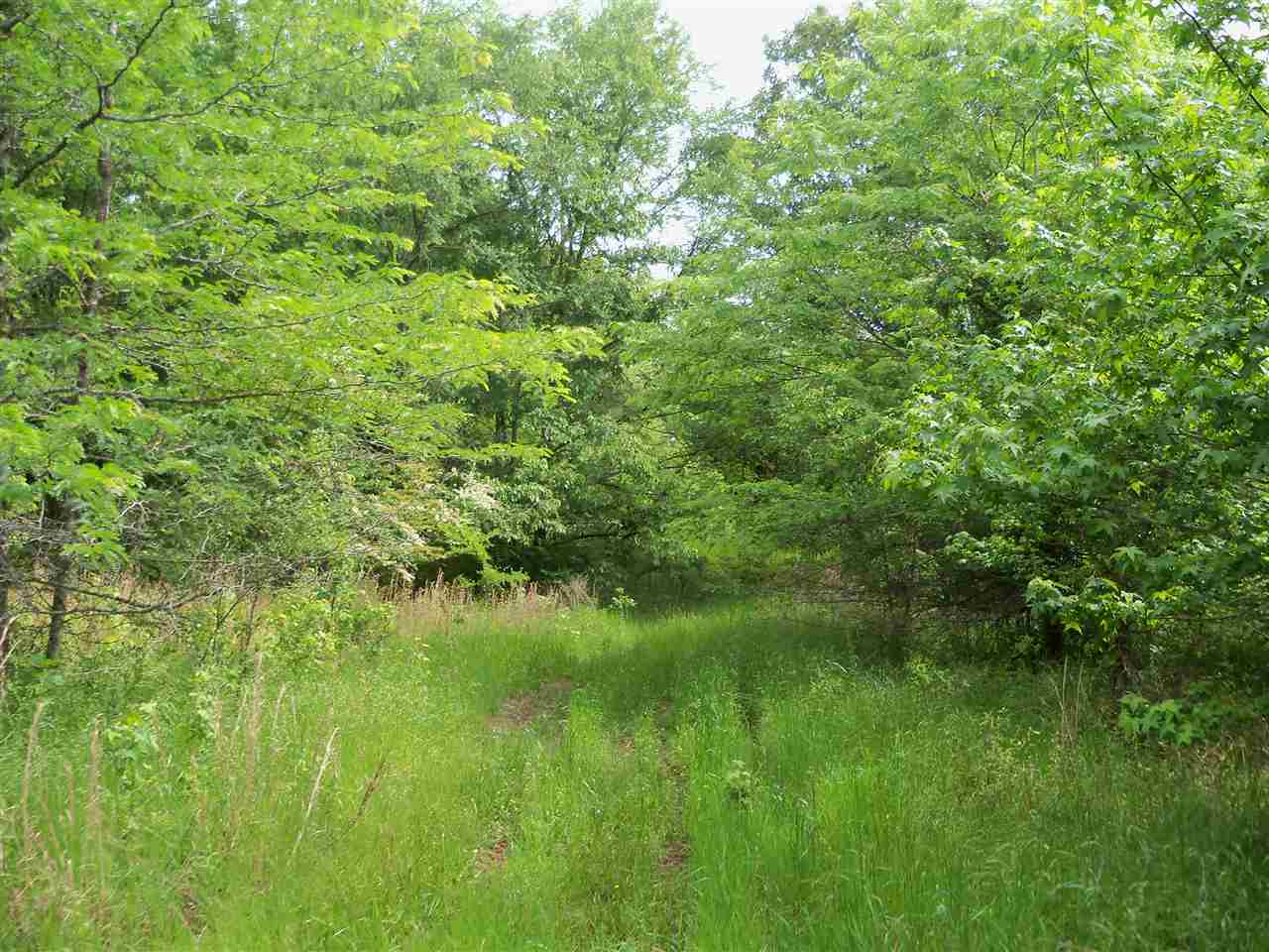 0 Pisgah Road Eads, TN 38028 - Photo 9 of 16 Gallery Image 9