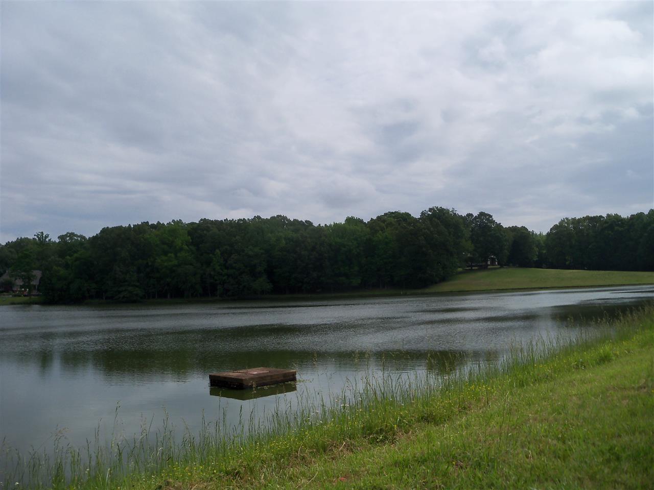 0 Pisgah Road Eads, TN 38028 - Photo 10 of 16 Gallery Image 10