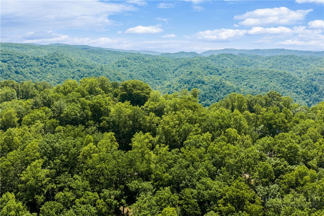 467 Horseshoe Ridge Road East Deep Gap, NC 28618 - Photo 34 of 46 a view of a lush green forest with lots of trees