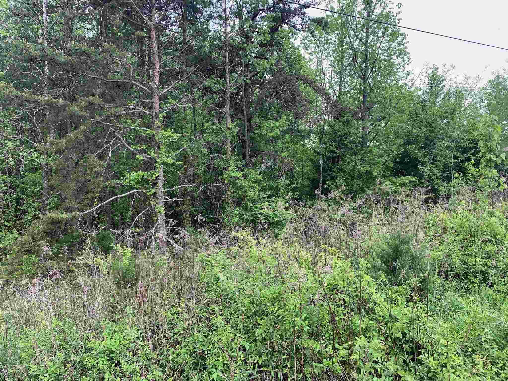 Lot 13 Susans Road Gaffney, SC 29341 - Photo 3 of 3