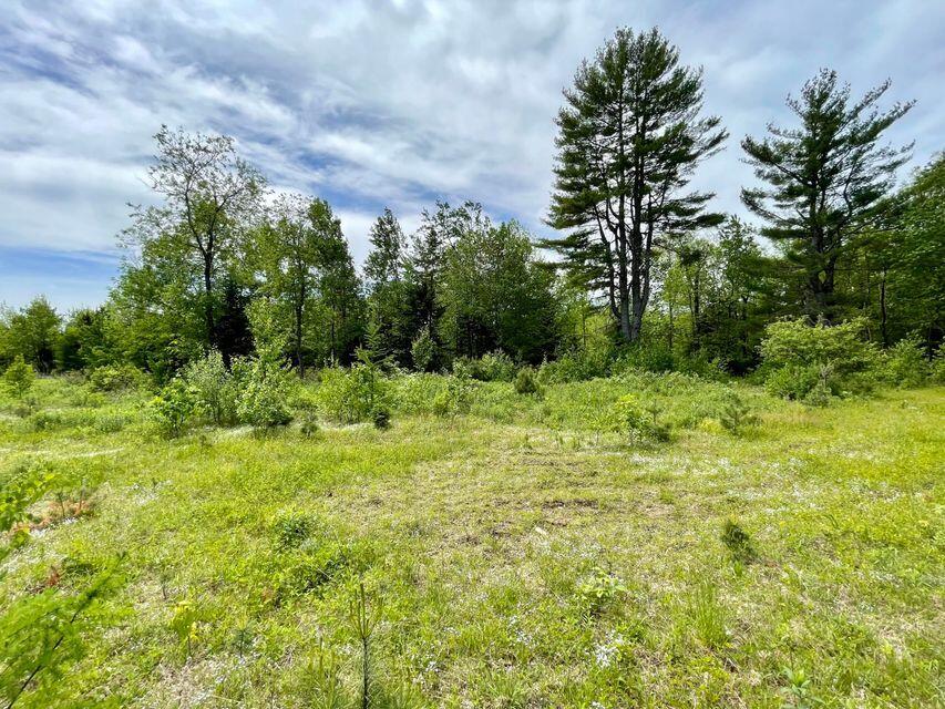 140 Works Road Jackson, ME 04921 - Photo 1 of 38 1
