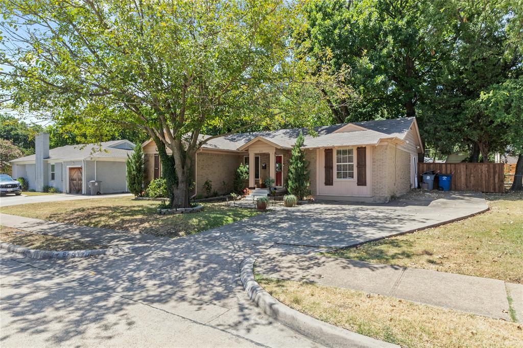 649 Peavy Road Dallas, TX 75218 - Photo 29 of 30 Brick exterior, mature front yard tree, concrete driveway, and front entry