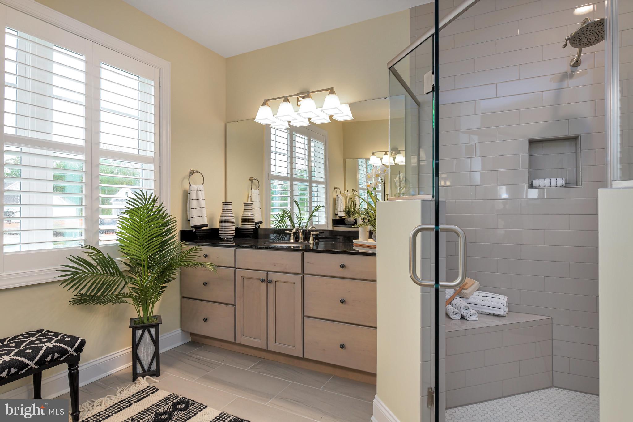 21810 Eastbridge Loop Lewes, DE 19958 - Photo 19 of 32 a bathroom with a sink a faucet a potted plant and a shower