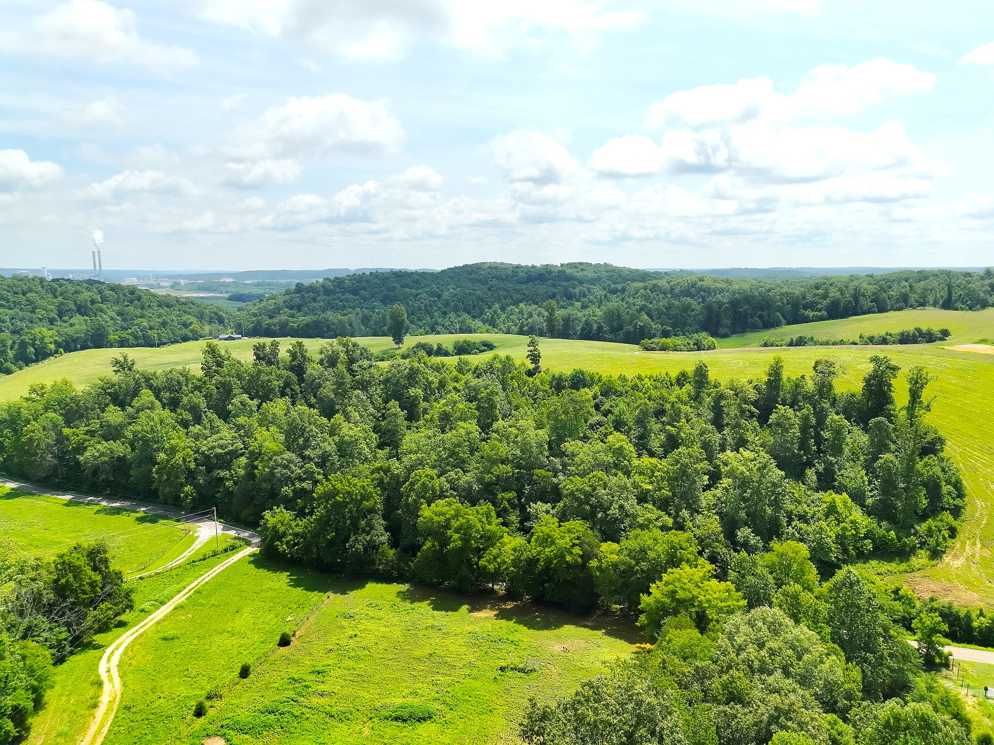0 Brigham Branch Road Erin, TN 37061 - Photo 10 of 16 Gallery Image 10