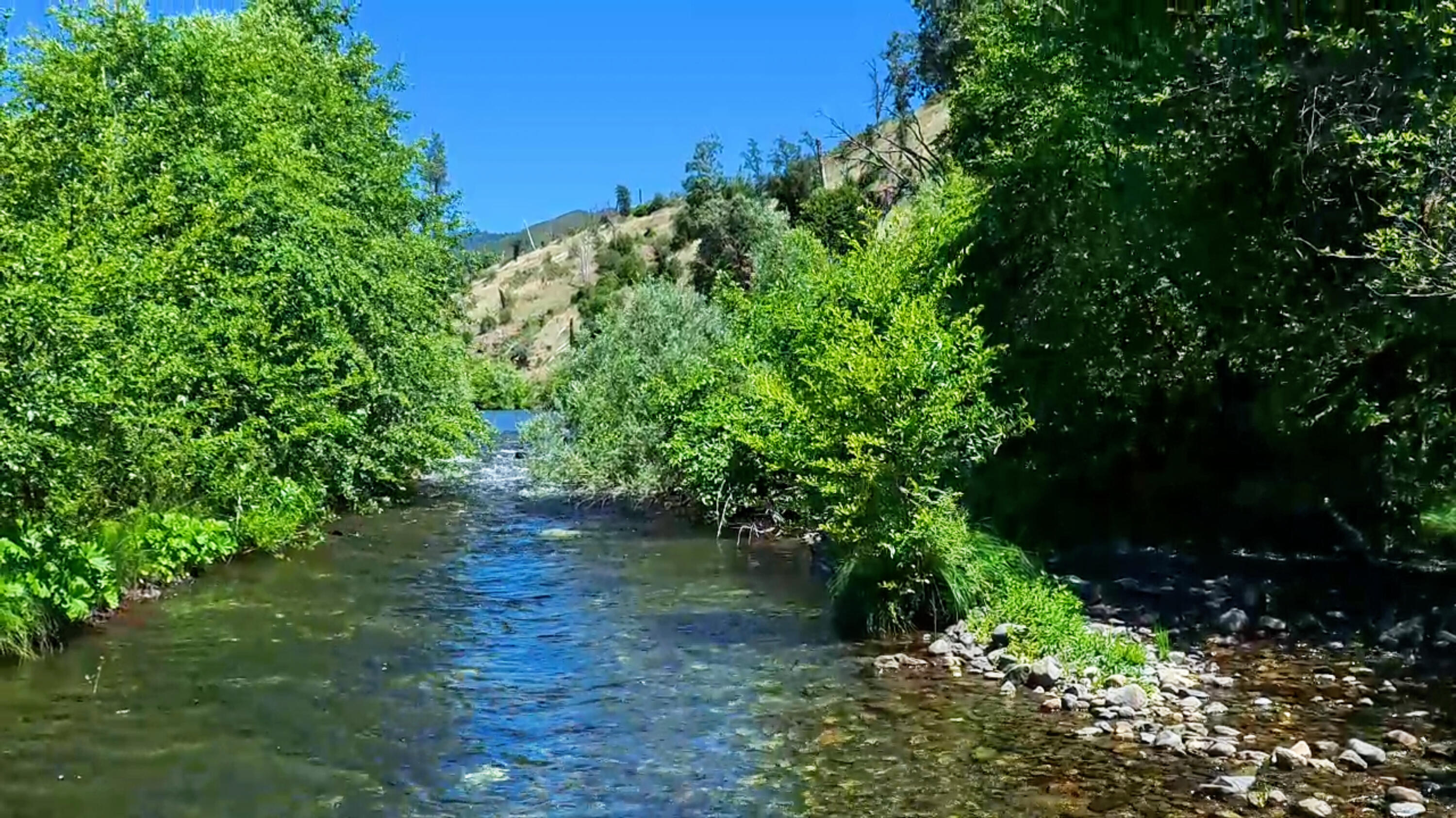0 Trinity Mountain Road French Gulch, CA 96033 - Photo 4 of 30 03