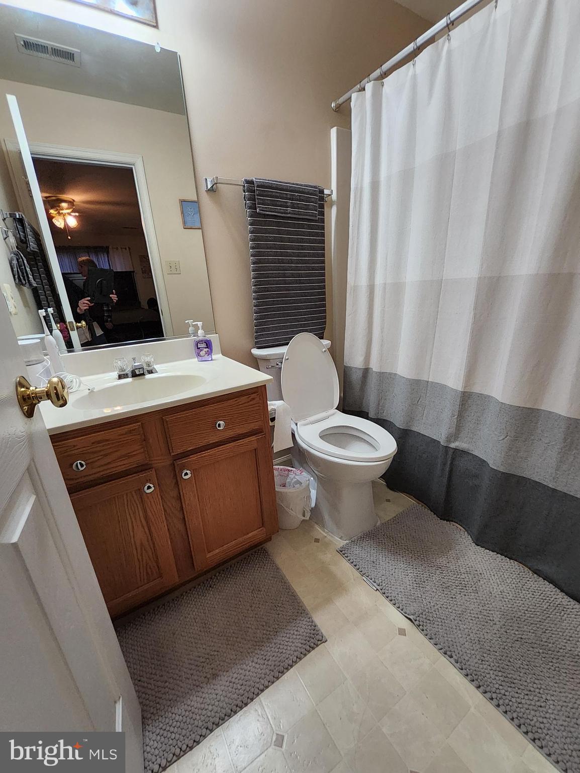 613 Clubhouse Way Culpeper, VA 22701 - Photo 7 of 17 a bathroom with a toilet a sink a mirror and shower curtain
