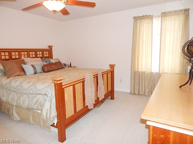 10911 Crawford Road Homerville, OH 44235 - Photo 15 of 24 Gallery Image 15