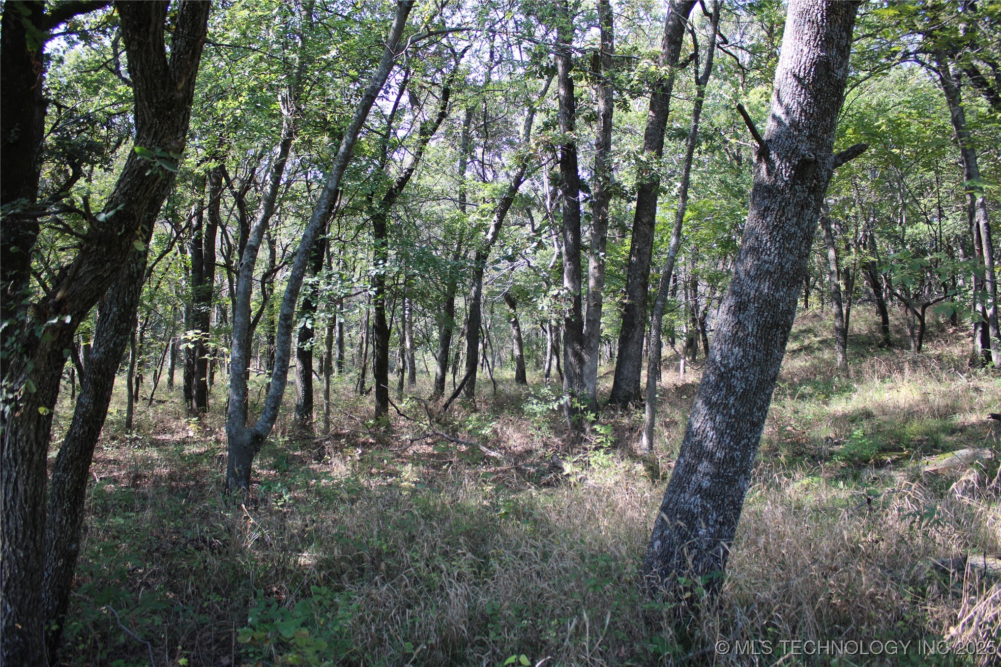 24901 280th Road Chelsea, OK 74016 - Photo 78 of 100 Gallery Image 78