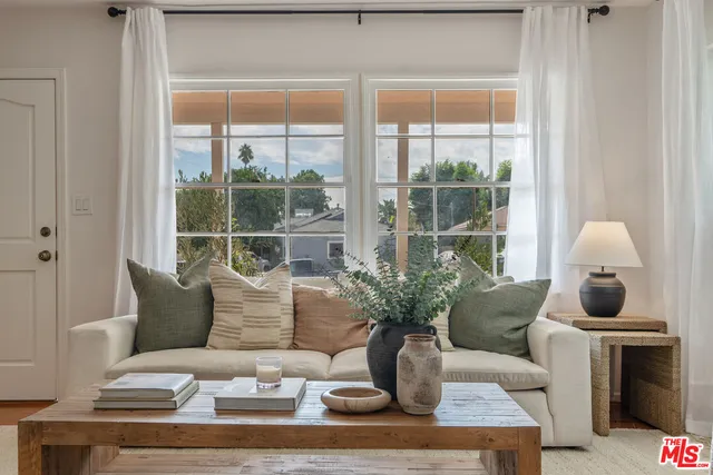 a living room with furniture and a potted plant