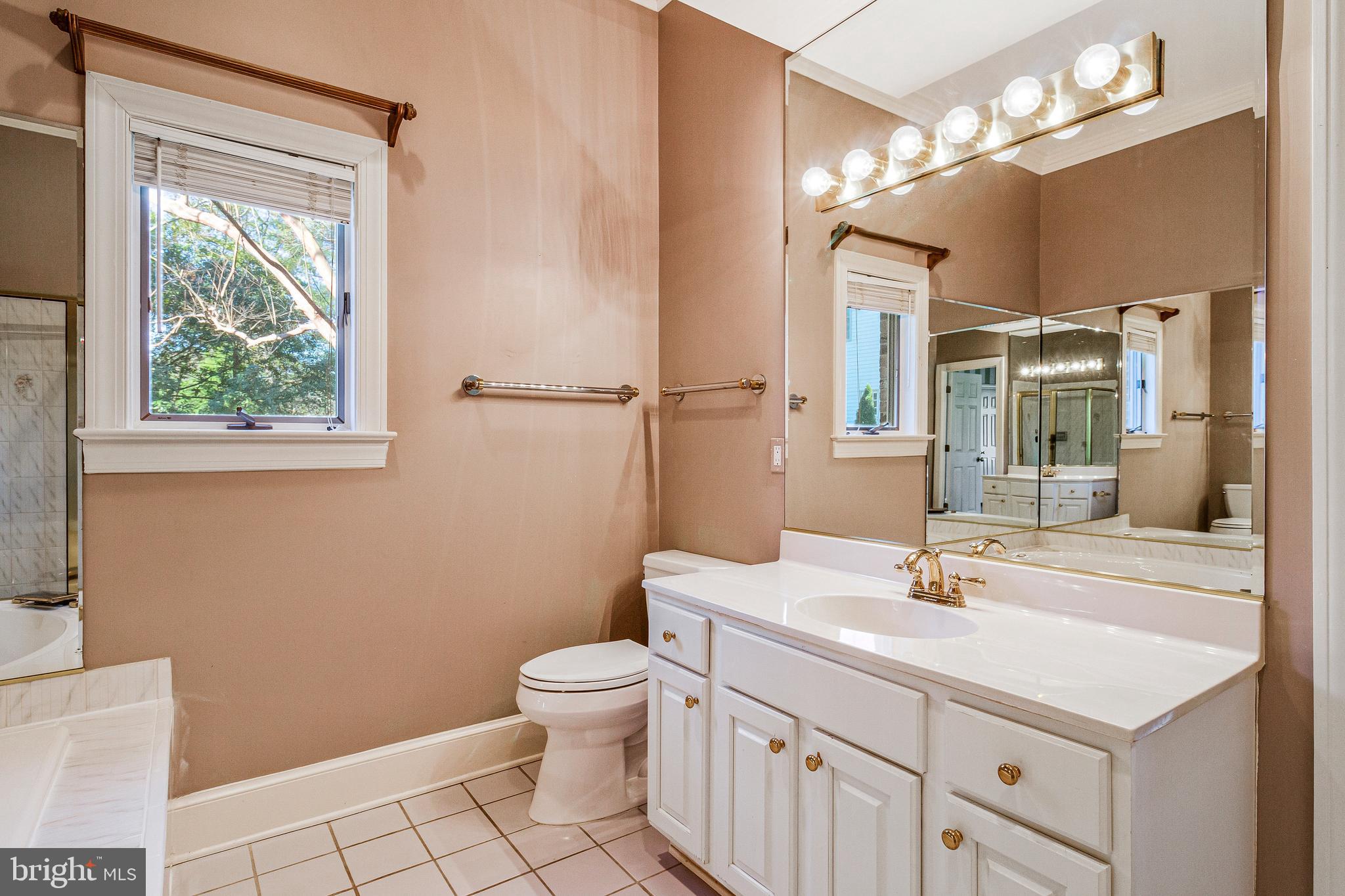 938 Douglass Drive McLean, VA 22101 - Photo 14 of 105 a bathroom with a sink toilet and a mirror