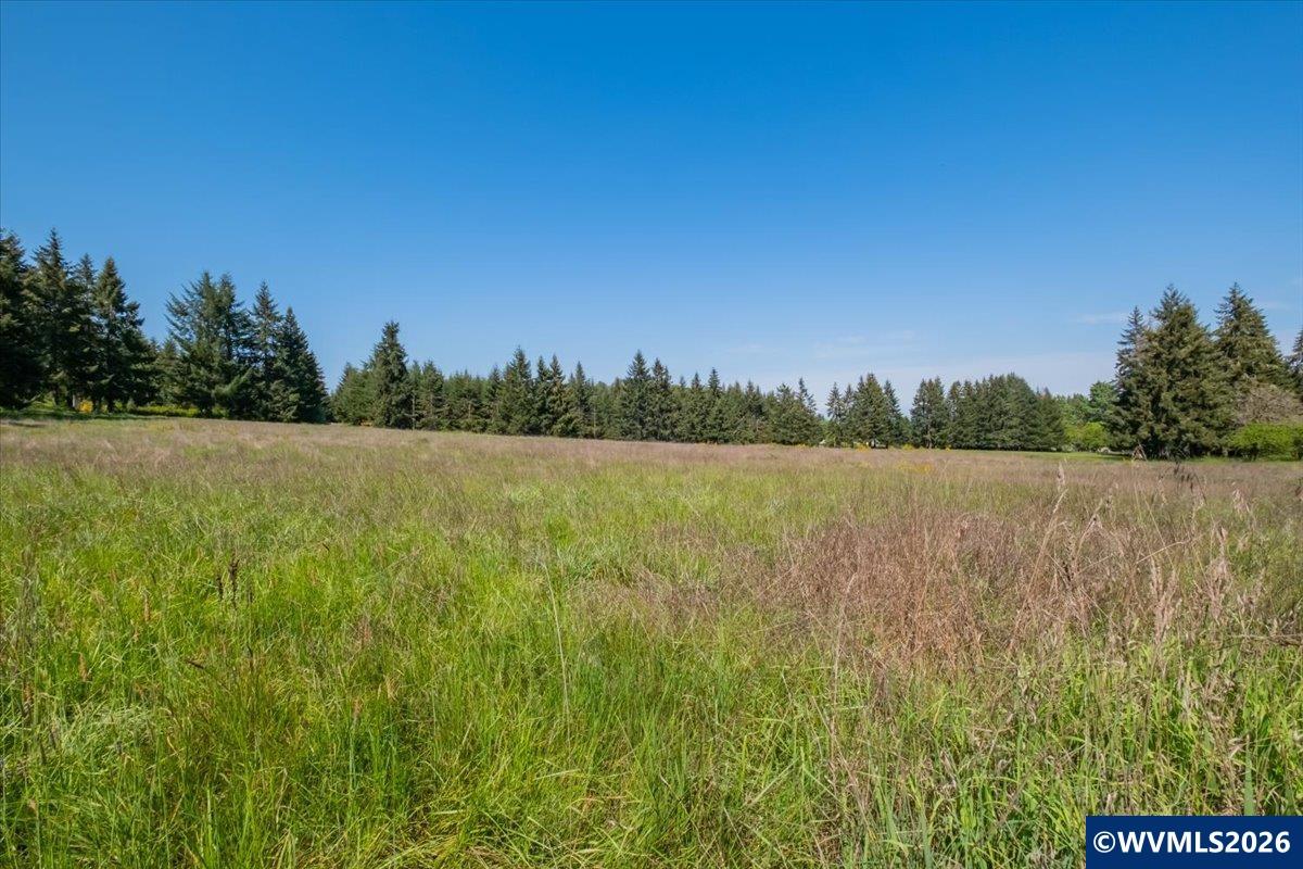 201552 Orchard Tract Road Monroe, OR 97456 - Photo 12 of 19
