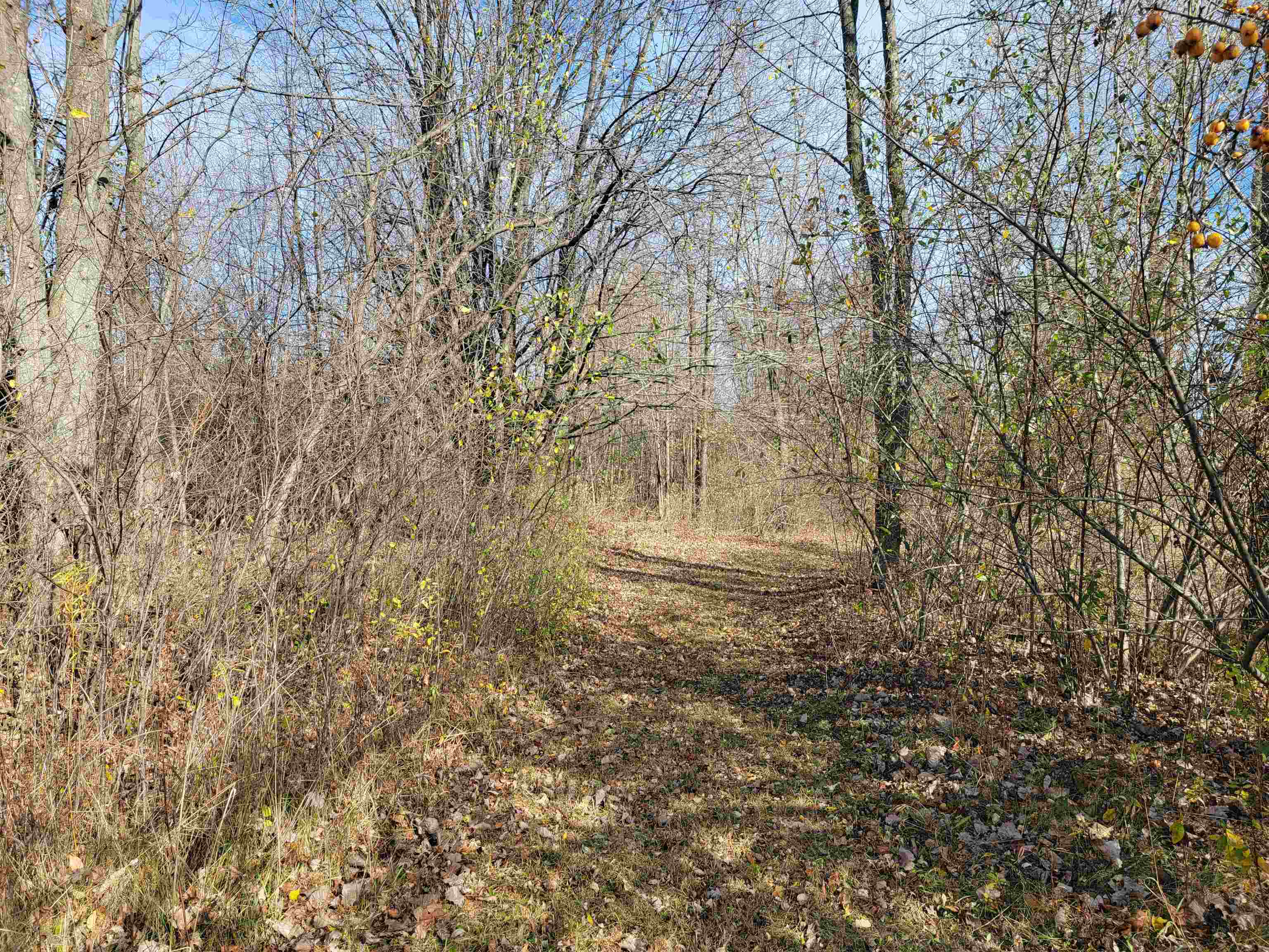 5185 North Center Road Flint, MI 48506 - Photo 59 of 65