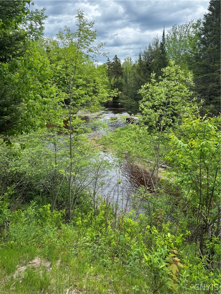 Kirkland Road East Forestport, NY 13338 - Photo 5 of 9