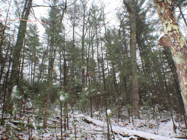 Lot On Birchwood Drive Rhinelander, WI 54501 - Photo 2 of 7 Gallery Image 2