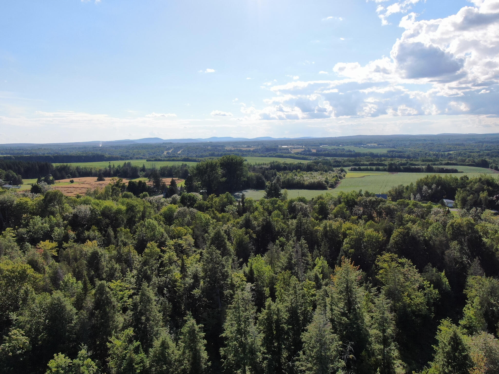 DJI_0536