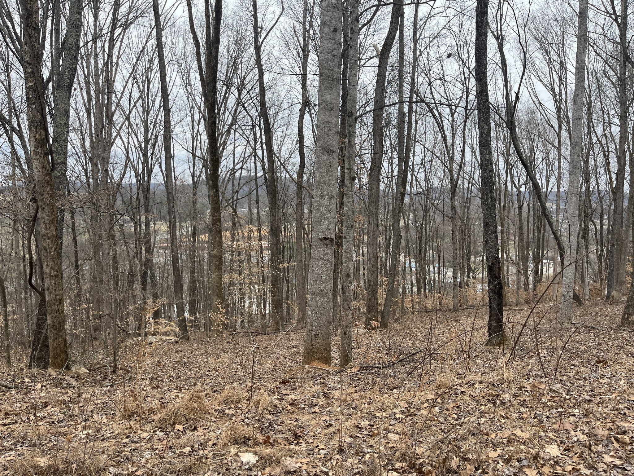 147 Chestnut Hill Road Livingston, TN 38570 - Photo 2 of 5